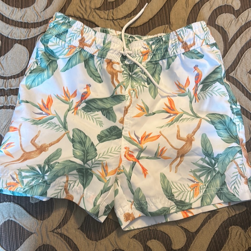Janie & Jack toddler boys bathing suit size 3